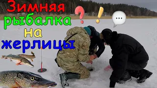 Зимняя рыбалка на жерлицы вдоль камыша Кулаковский залив 05 01 2019