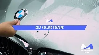 BMW M5 x Magnus Pro Paint Protection Film (PPF)