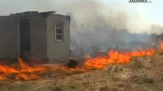 Вести-Хабаровск. В сильном пожаре сгорело несколько дачных домов
