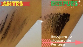 Como ARREGLAR una MASCARA de Pestañas SECA  | Tips de belleza  que deberías conocer ♡ Diy by FSandMe