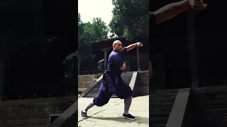 Shaolin Dahongquan #yanhao #kungfu #shaolinkungfu #shaolintemple #martialarts #monkstory