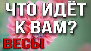 ВЕСЫ, Что идет к Вам на этой неделе Таро прогноз гороскоп на неделю 5-11 сентября, анна зверева,