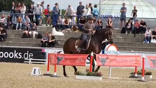 Рабочая выездка (Working equitation) Теперь в Казахстане!