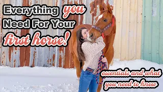 EVERYTHING You Need For Your First Horse!