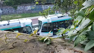 Citedis 302 : Tram T2 à Suresnes-Longchamp