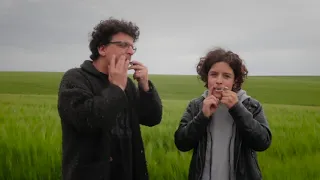 Jew's harp in the field