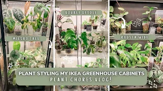Cleaning & Plant Styling My Ikea Greenhouse Cabinets | Plant Chores Vlog | Milsbo, Rudsta & Detolf