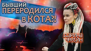 Есть ли у животных душа? Кто крадет тела? Почему ходят деревья?