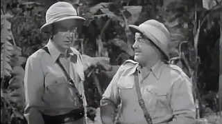 Krzyki Afryki (1949) Abbott i Costello | Przygodowy, Komedia | Cały film, napisy
