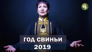 Новый год свиньи! Как стать счастливым в 2019 году? Алла Громова