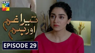 Tera Ghum Aur Hum Episode 29 HUM TV Drama 7 October 2020