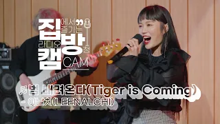 [집방캠][4K] 이날치(LEENALCHI) - 범 내려온다(Tiger is Coming) LIVE | 두시탈출 컬투쇼 | 201102