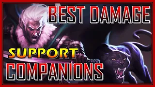 TOP Companions to INCREASE Party DAMAGE! All Buff & Debuff Comps - Neverwinter Mod 21