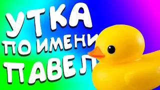 УТКА ПО ИМЕНИ ПАВЕЛ | Duck Game