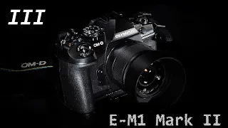 OM-D E-M1 Mark II - Испытание Детьми