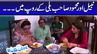 Nabeel Aur Mehmood Sahab Billi Ke Roop Mein - Khoobsurat | Bulbulay