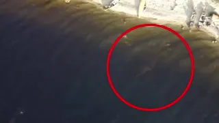 The Loch Ness Monster returns! Nessie spotted in 4k drone footage