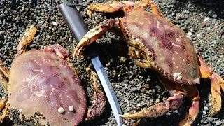 Catch and Cook - Simplest Way to SWEETEN Delicious CRAB