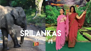 esam Šrilankā - saullēkta safari, ziloņi, Budas & tempļi