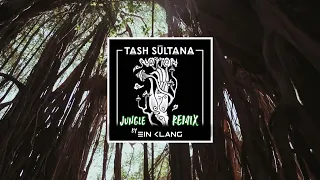 Tash Sultana - Jungle (EIN KLANG Remix) [Progressive Trance]