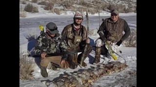 Rabbit Hunt with Recurve Bows