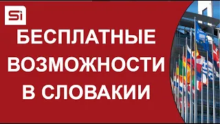 SlovakiaInvest для iCanClub: Бесплатные возможности для иностранцев в Словакии (не из мышеловки).