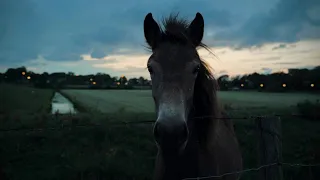 Sony a6700 Cinematic | Sigma 18-50mm f/2.8