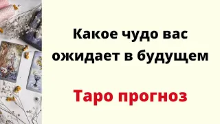 Какое чудо произойдёт в будущем? | Таро онлайн