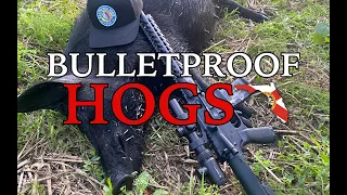 BULLETPROOF Hogs! Multiple Shots Deflected off Wild Hogs while hunting with a 300blk in Florida 4K