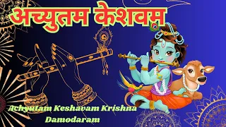 Achyutam Keshavam Krishna Damodaram | Krishna Bhajan