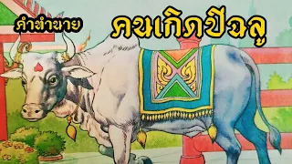 ดวงคนเกิดปีฉลู (ปีวัว)🐮 ตามลักษณะวันเกิดและเดือนเกิด #ดูดวง #ช่องแมวตาเพชร