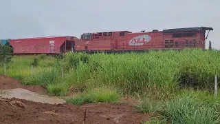 Trem da RUMO vencendo rampa por pouco em dia de chuva com MadMax(614) locotrol