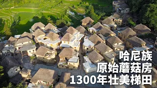 云南原始古村，哈尼族雕塑大山1300年，阿者科村的世界遗产哈尼梯田丨EP10村丨Unveil the Village with most Stunning Rice Terraces in China