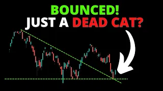 BOUNCED! Just a DEAD CAT? (SPY, QQQ, DIA, IWM, ARKK, BTC)