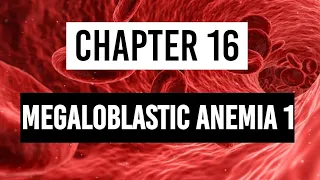 Megaloblastic anemia (Part 1) | Vitamin B12 Deficiency