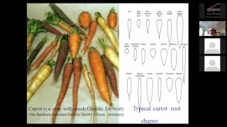 Building a Better Carrot – for Growers and Consumers