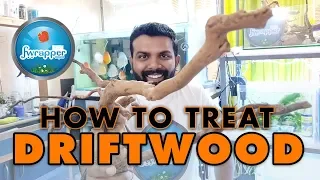 How To :  Treat || Prepare Driftwood before it goes into an Aquarium