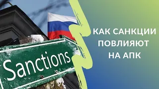 Как повлияют санкции на экономику сельского хозяйства: кредитование, сельхозтехника, экспорт