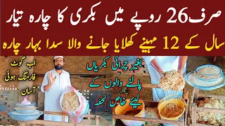 Bakri Ka Charah | Goat fodder | best goat food | بکری کا چارہ | Sada bahar chara | HB Business TV