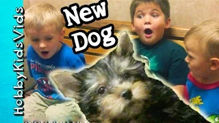 HobbyKids Reaction to FIRST DOG! Surprise Pet Behind the Scenes HobbyPuppy HobbyKidsVids