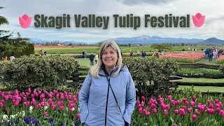 🌷 Skagit Valley Tulip Festival! 🌷