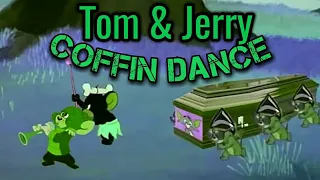 Tom and Jerry [coffin dance song]♪♪