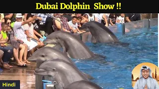 Dubai Dolphin Show| Dubai Dolphinarium |Creek park bird show |Things to do in Dubai on a budget|2022