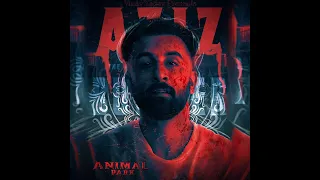 Animal Park Aziz Entry BGM || Animal || Animal Park || KD Creations || BGN || New BGN || 2024 | 2023