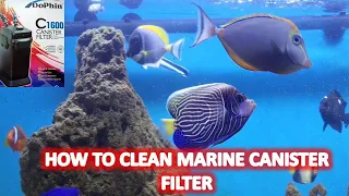 How to Setup Canister Filter | Cleaning Marine Tank | Dophin C1600 Canister Filter