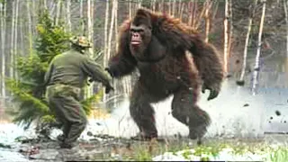 Top 10 Concerning Bigfoot Attacks They Want To Keep Hidden