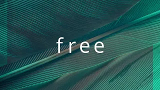 "Free" | Official Lyric Video | Christian Music | feat. Connor Austin #strivetobe