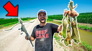 BULLFROG Hunting at My Farm with a MINI CROSSBOW!!! (Catch Clean Cook)