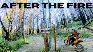 Middle Creek / Penny Pines OHV After The Fire Mendocino National Forest 2020