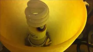 CFL Light Bulb Smoking after it burned out